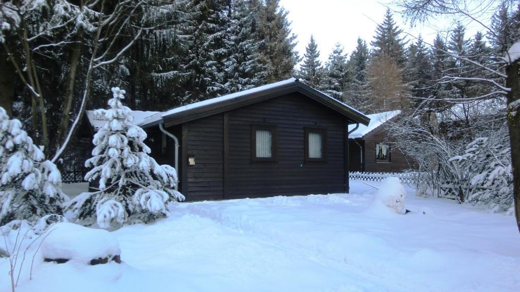 Waldsee Feriendienst 'Ferienpark Am Waldsee' Hotel Clausthal-Zellerfeld Luaran gambar