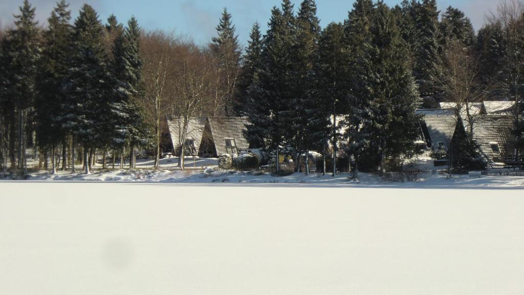 Waldsee Feriendienst 'Ferienpark Am Waldsee' Hotel Clausthal-Zellerfeld Luaran gambar