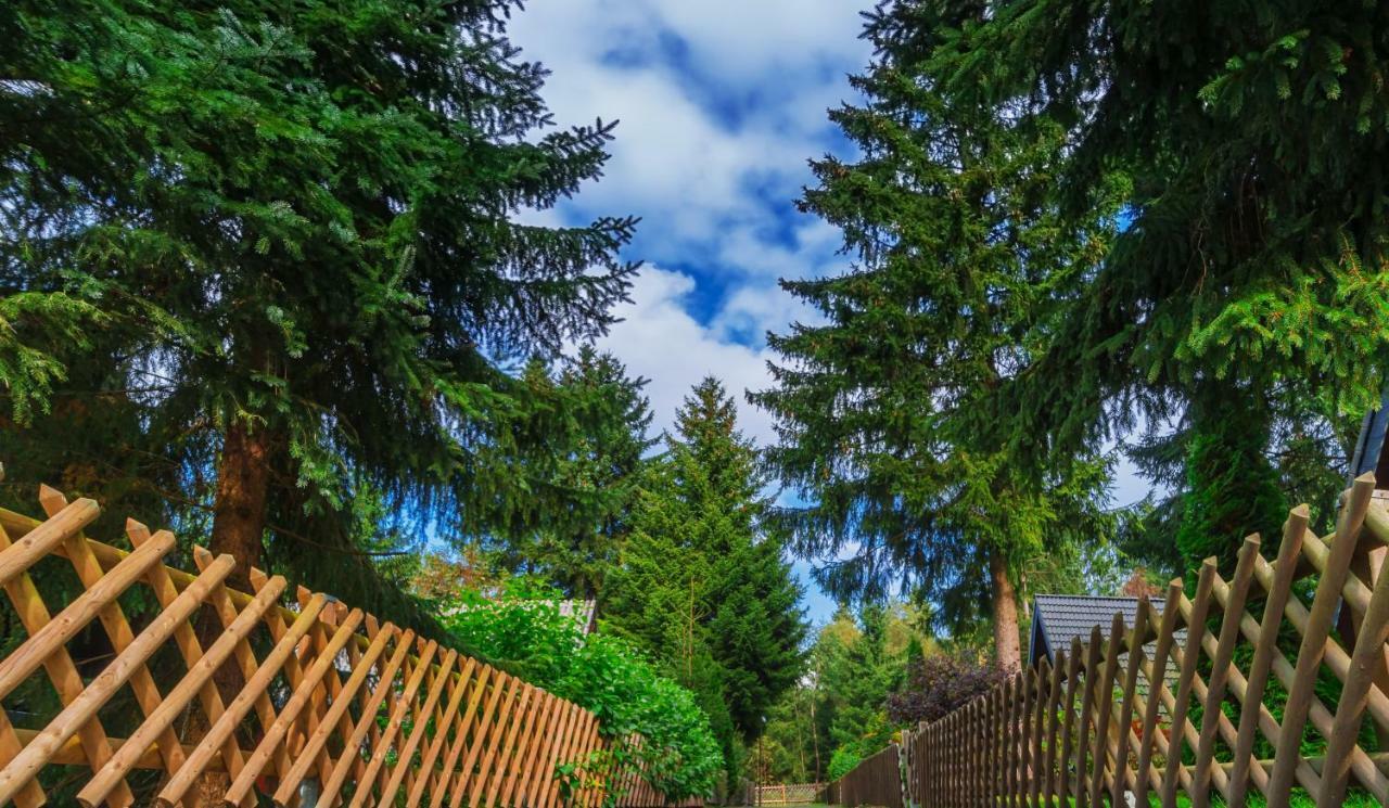 Waldsee Feriendienst 'Ferienpark Am Waldsee' Hotel Clausthal-Zellerfeld Luaran gambar