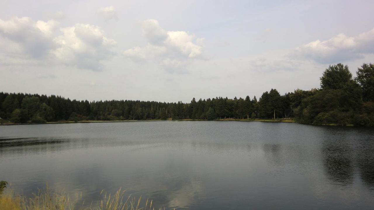 Waldsee Feriendienst 'Ferienpark Am Waldsee' Hotel Clausthal-Zellerfeld Bilik gambar